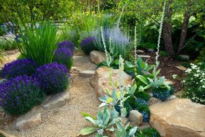 comment-amenager-jardin-paysager